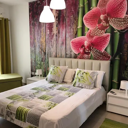 189 Chezli Court Daire